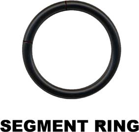 Segmentring-16005