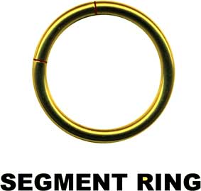 Segmentring-18005