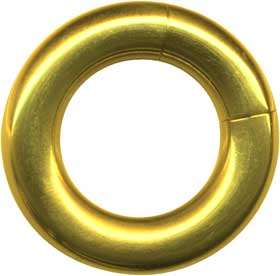 Segmentring-18029