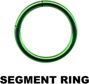 Segmentring-17005