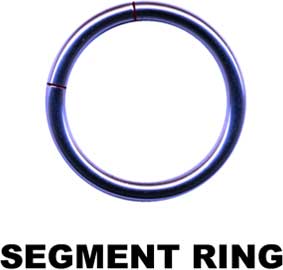 Segmentring-19005