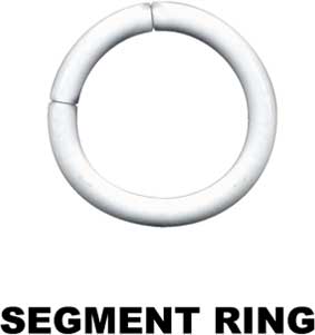 Segmentring-15005