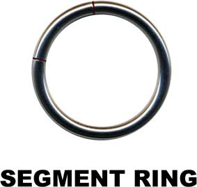 Segmentring-14017