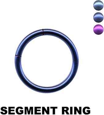 Segmentring-24035