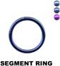 Segment Ring 24035
