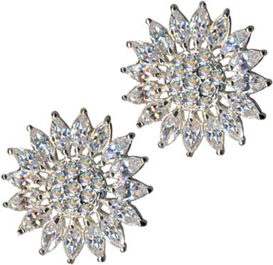 Ear Studs-58060