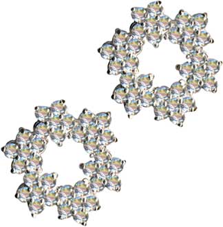 Ear Studs-58069