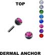 Top for dermal anchor 14199