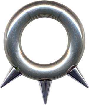 segment ring-14135